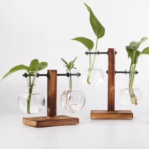 Hydroponic Plant Terrarium Vasevase Decoration