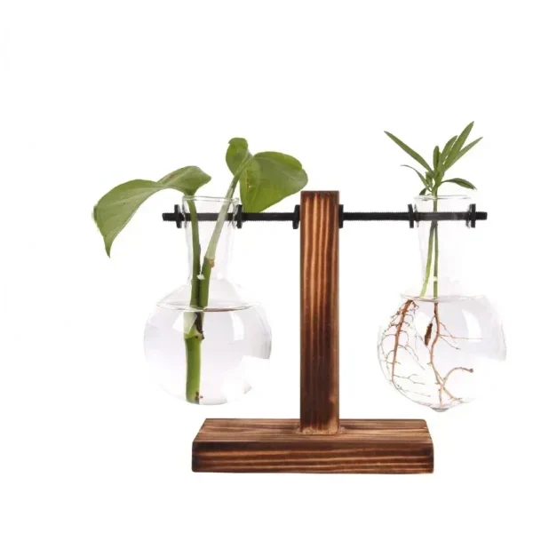 Hydroponic Plant Terrarium Vasevase Decoration - Image 2