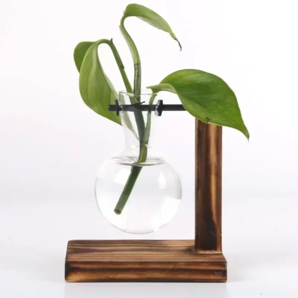 Hydroponic Plant Terrarium Vasevase Decoration - Image 6