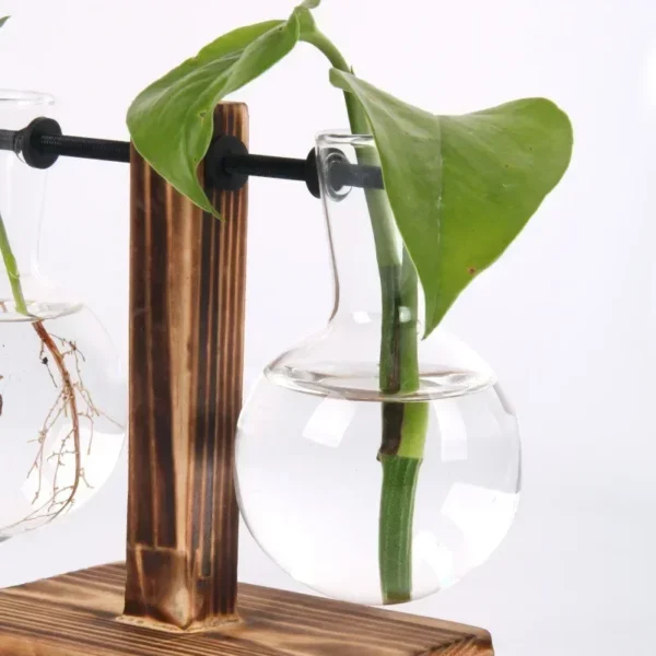 Hydroponic Plant Terrarium Vasevase Decoration - Image 4