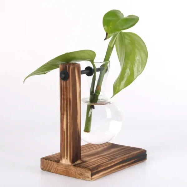 Hydroponic Plant Terrarium Vasevase Decoration - Image 5